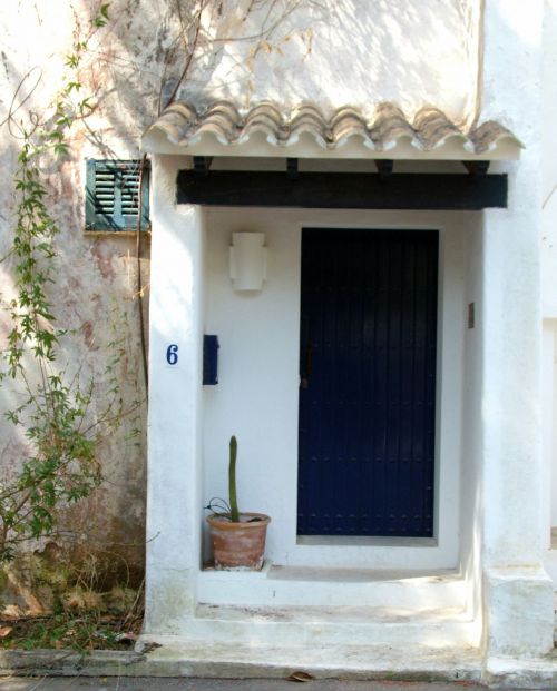 Door With Cactus