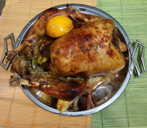 turkey food dish