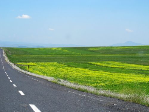 turkey road landscape