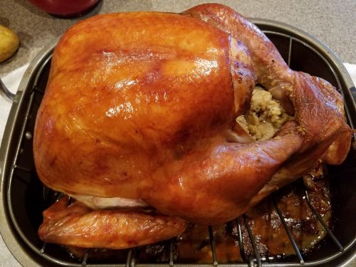 turkey thanksgiving holiday