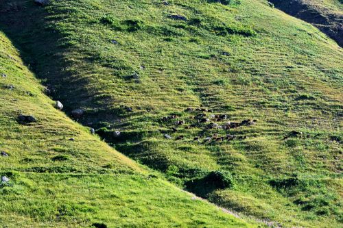 turkey nature landscape