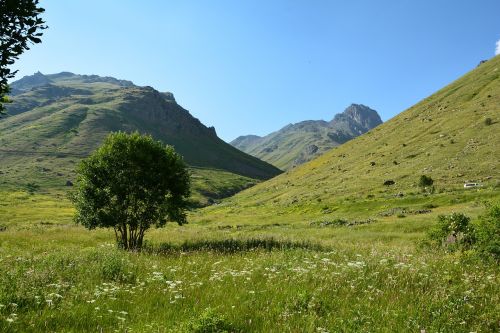 turkey nature landscape