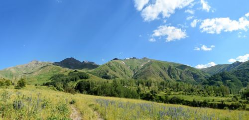 turkey nature landscape