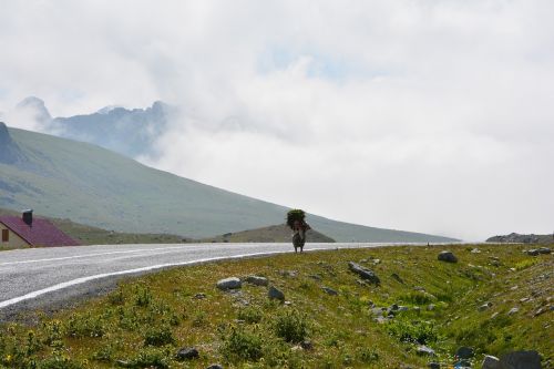 turkey nature landscape