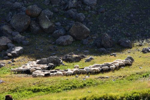 turkey nature landscape