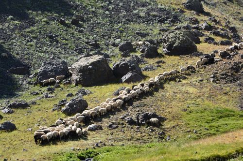 turkey nature landscape