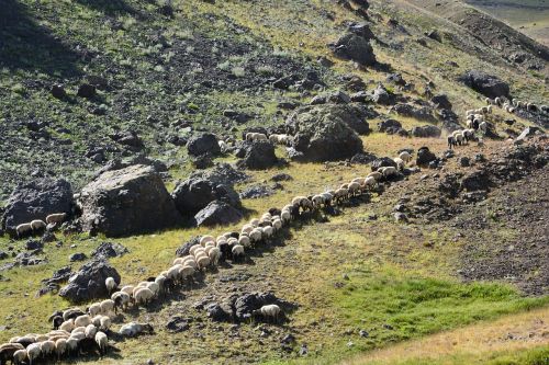 turkey nature landscape