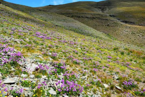 turkey nature landscape