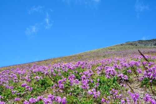 turkey nature landscape