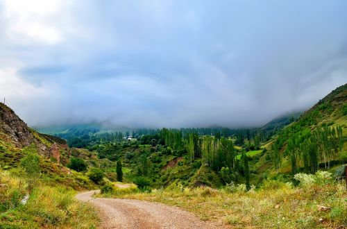 turkey nature landscape