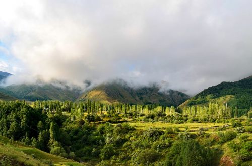 turkey nature landscape