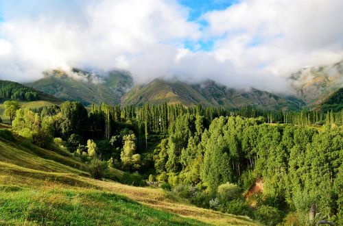 turkey nature landscape