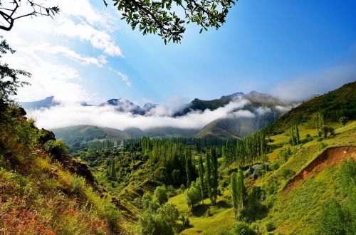 turkey nature landscape