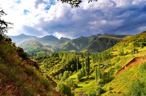 turkey nature landscape