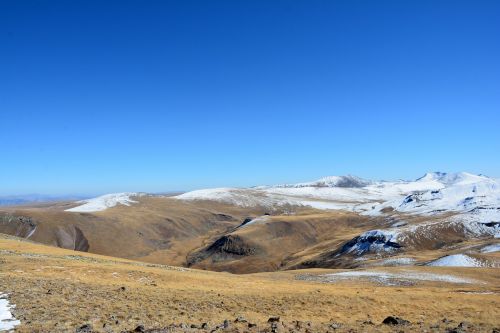 turkey nature snow