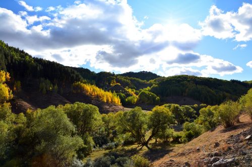 turkey nature landscape