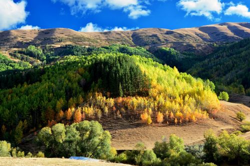 turkey nature landscape