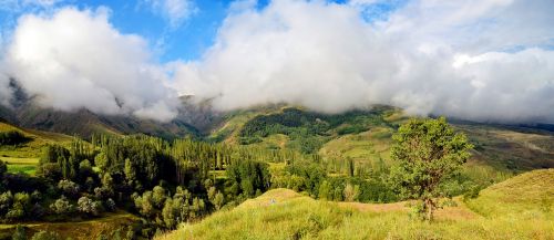 turkey nature landscape