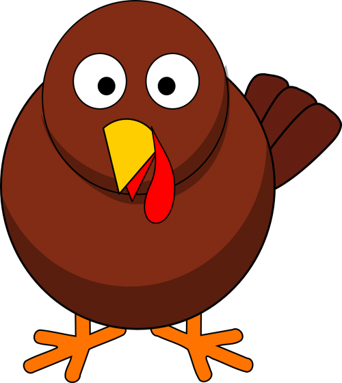 turkey bird rooster