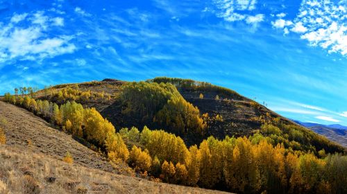 turkey autumn season