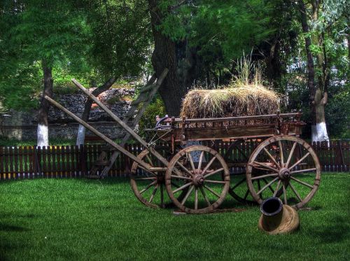 turkey park wagon