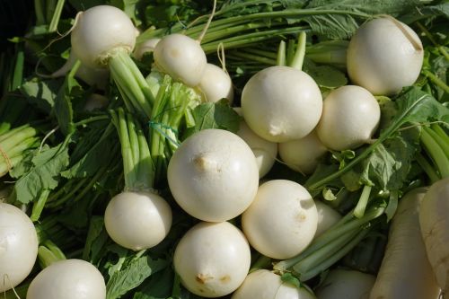 turnip vegetables white