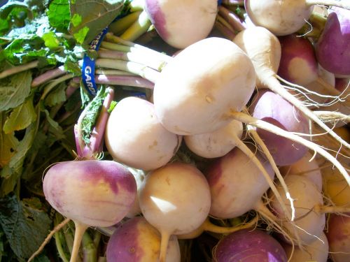 turnips vegetables root