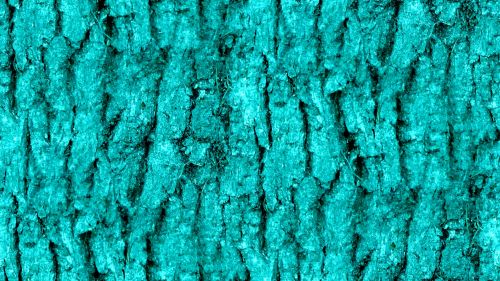Turquoise Seamless Bark Background