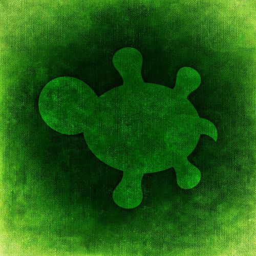 turtle background funny
