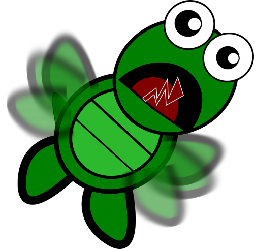 turtle tortoise cartoon