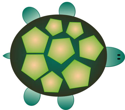turtle reptile sea ​​turtle