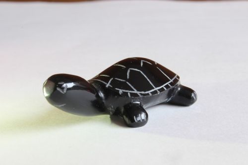 turtle crafts decoration