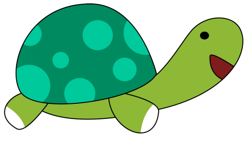 turtle animal cartoon