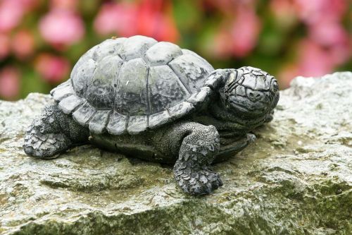 turtle stone art