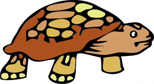 turtle tortoise cartoon