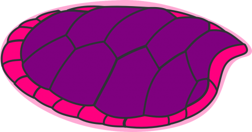 turtle purple pink