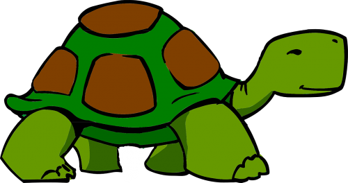 turtle brown green