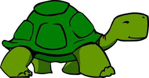 turtle green shell
