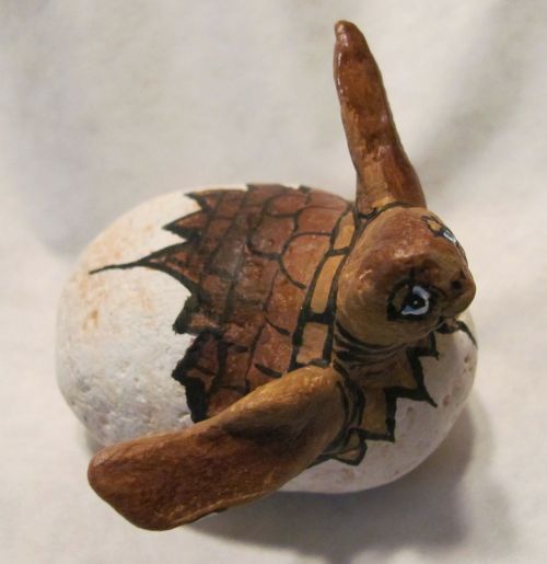 turtle painted stones loggerhead