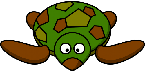 turtle cartoon front