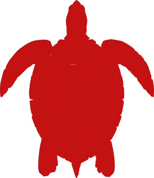 turtle red animal