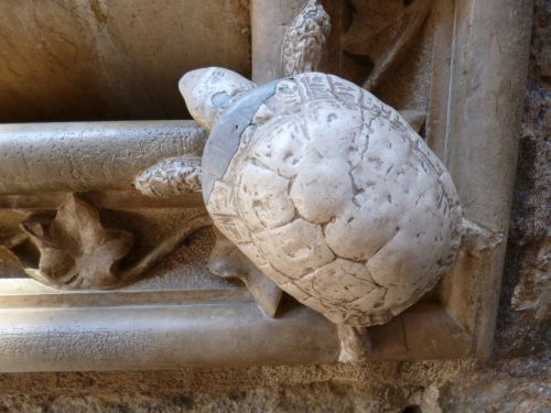 turtle stone ornament