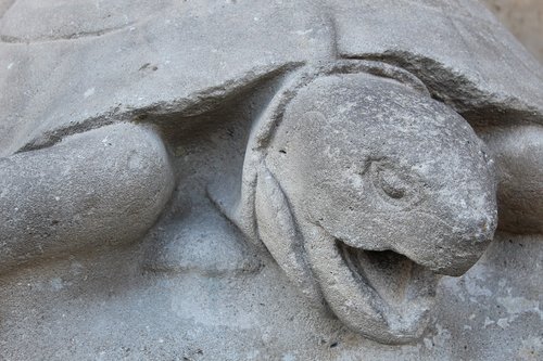 turtle  sculpture  artwork
