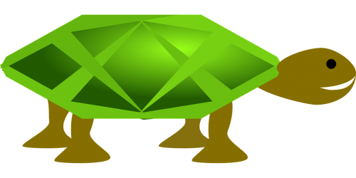 turtle green animal