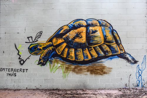 turtle  graffiti  mural