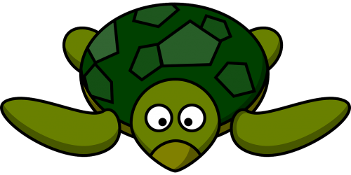 turtle green tortoise