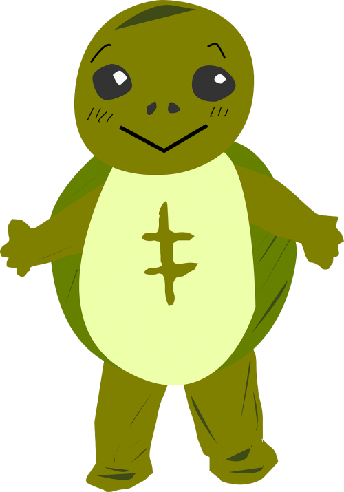 turtle character wildlife