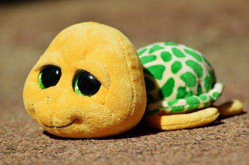turtle stuffed animal soft toy