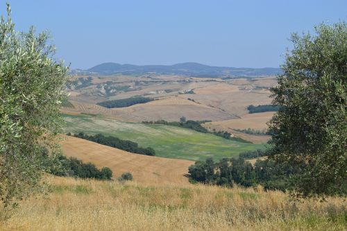 tuscany the cultivation of fields