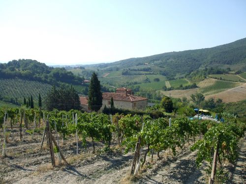 tuscany nature landscape